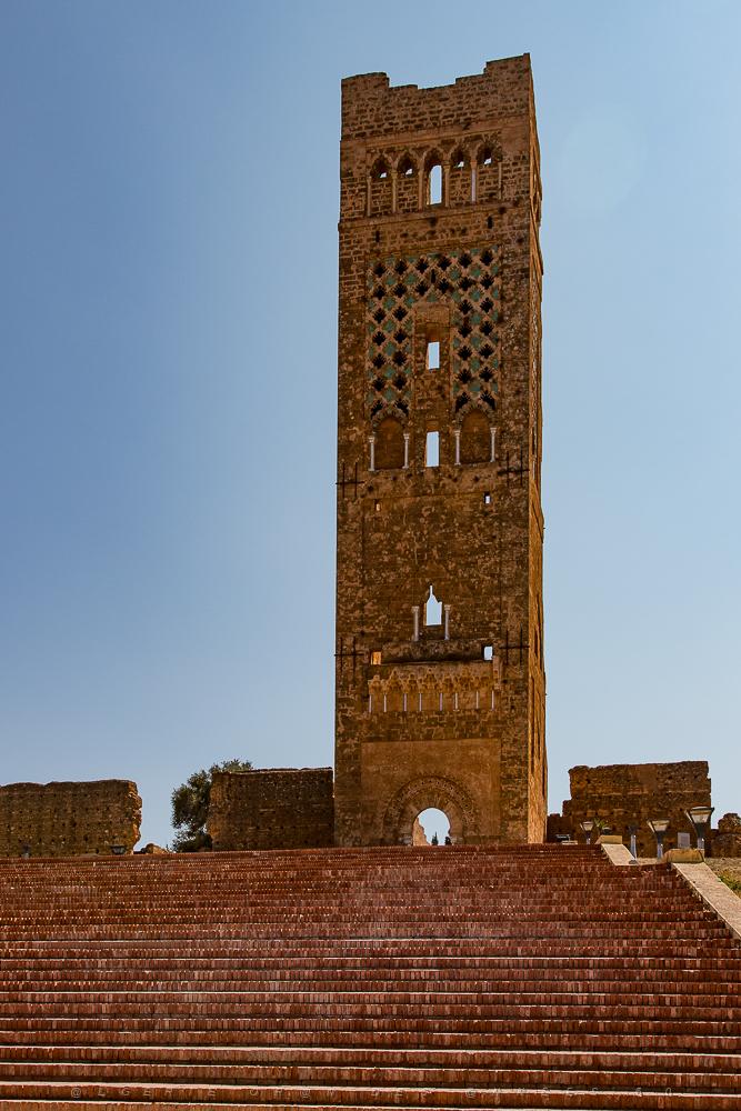 Oranie 2017-597.jpg